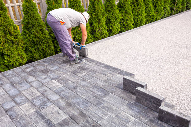 Best Driveway Paving Contractor  in Powell, WY