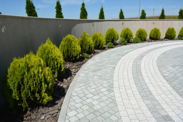 Professional Driveway Pavers in Powell, WY